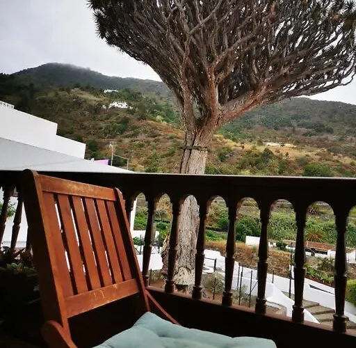 Drago Chico * Icod De Los Vinos