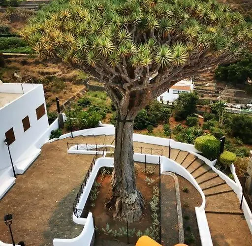 Drago Chico Appartement Icod De Los Vinos