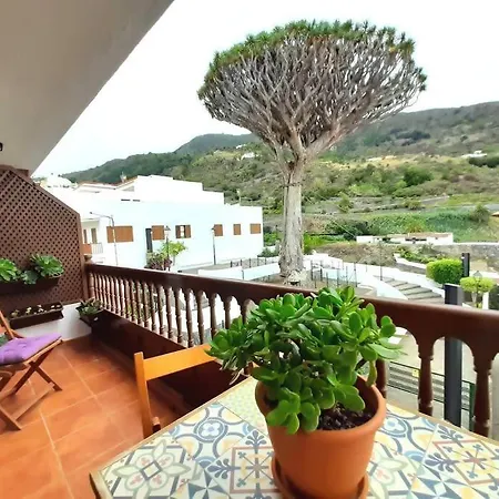 Drago Chico Icod de los Vinos