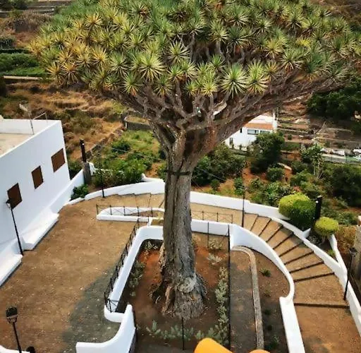 Drago Chico * イコー・デ・ロス・ビノス