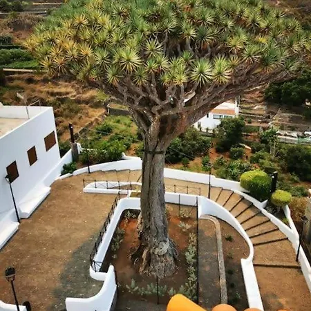 Drago Chico * איקוד דה לוס וינוס