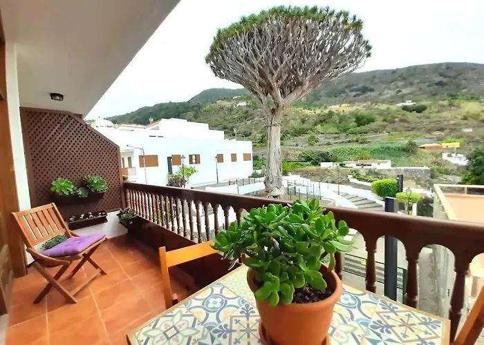 Drago Chico Icod De Los Vinos