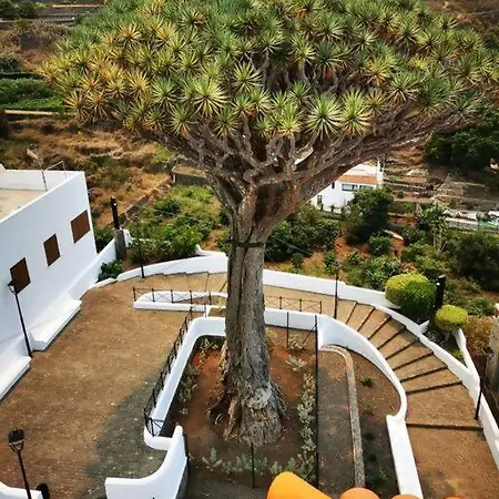 Drago Chico Apartament Icod De Los Vinos